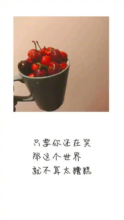 z4.jpg